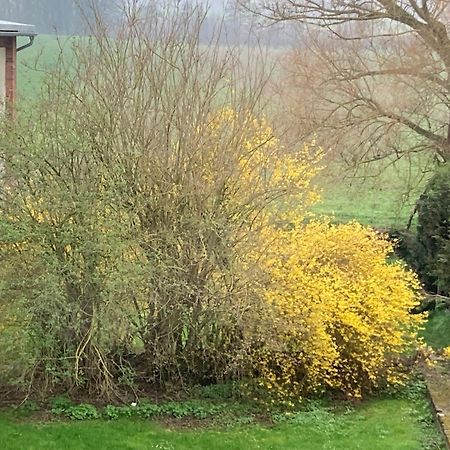 Ferienwohnung Weserbergland Haus Nr 29 Erdgeschoss Deensen Esterno foto